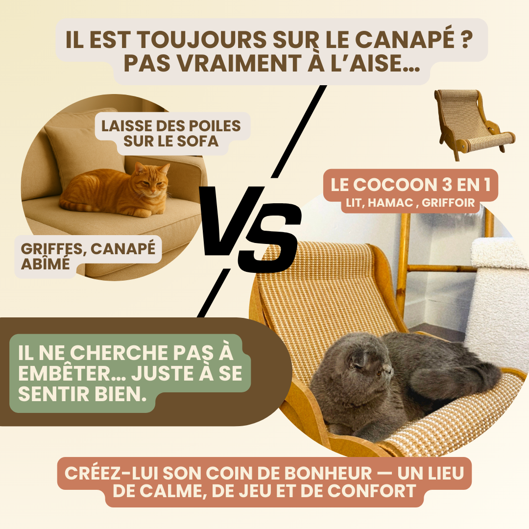 Le Cocoon -  Hamac 3 en 1  pour chat
