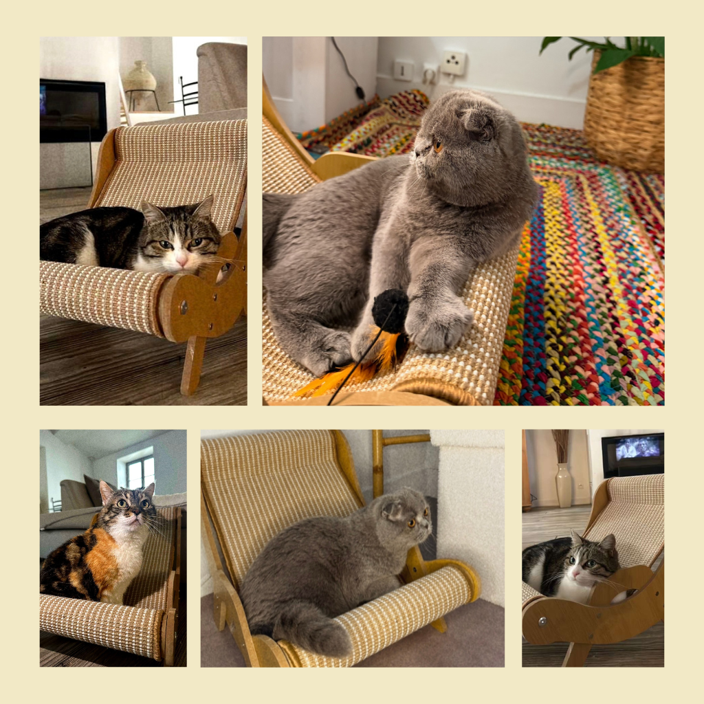 Le Cocoon -  Hamac 3 en 1  pour chat