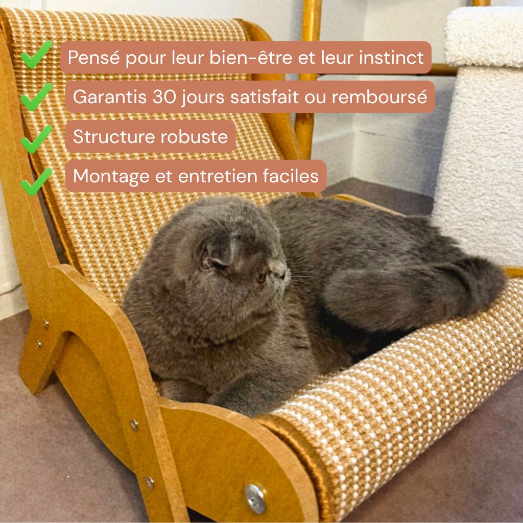 Le Cocoon -  Hamac 3 en 1  pour chat