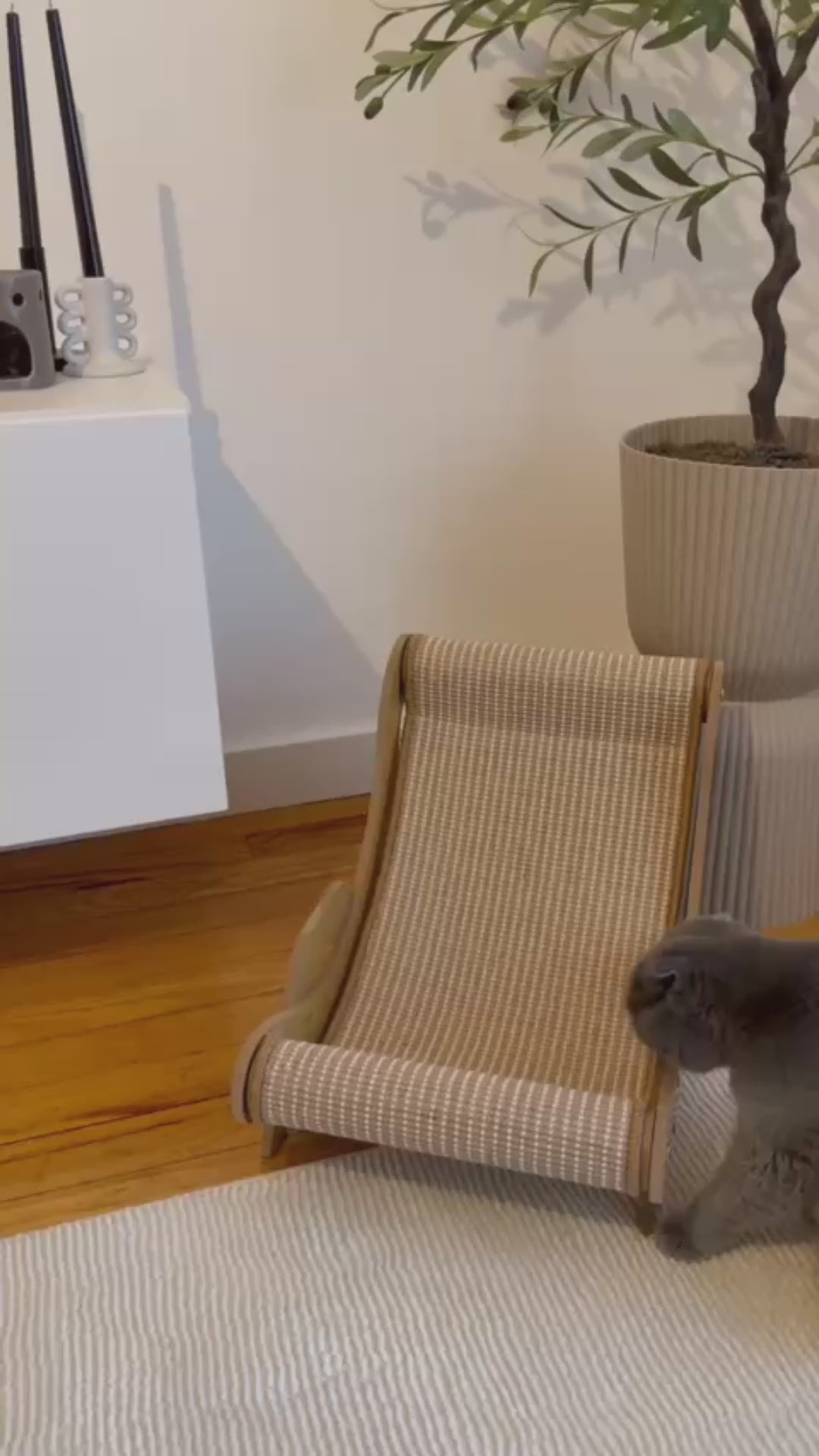 Charger la vidéo : 